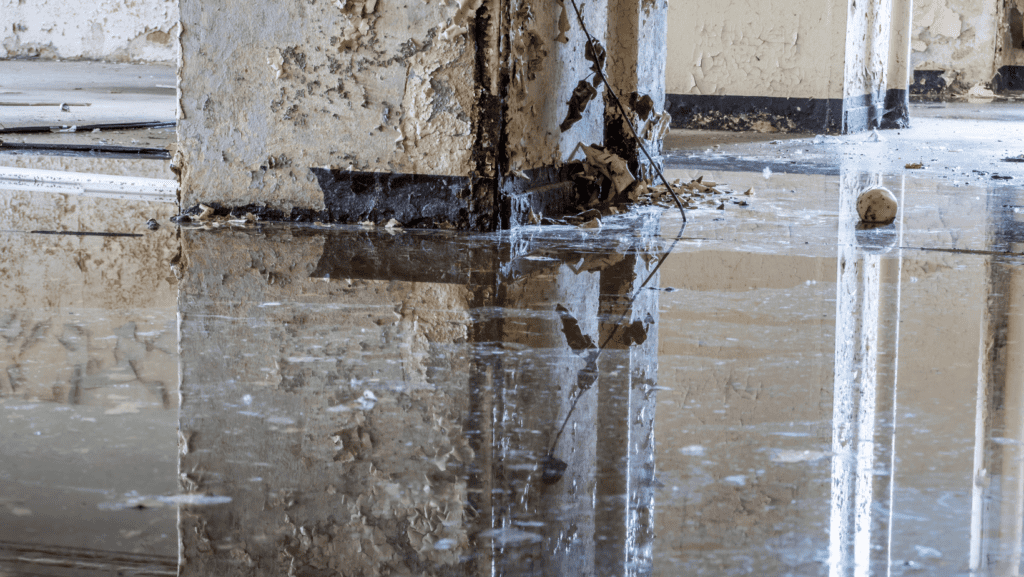 commercial water damage Dallas